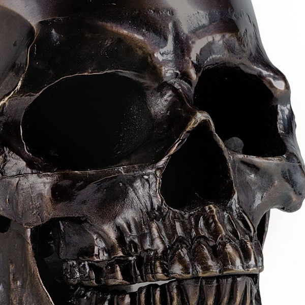 Skull Night Light